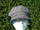 Cap IRELAND - Newsboy Cap Grey